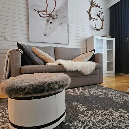 Outapailakka K18 * סאריסלקה